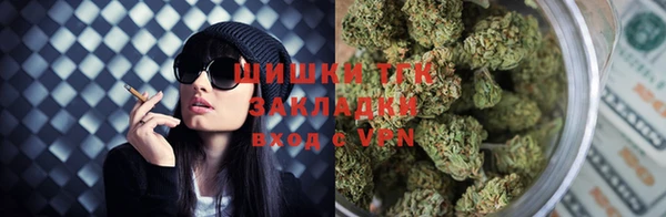 крисы Пенза