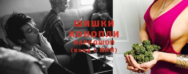 крисы Пенза