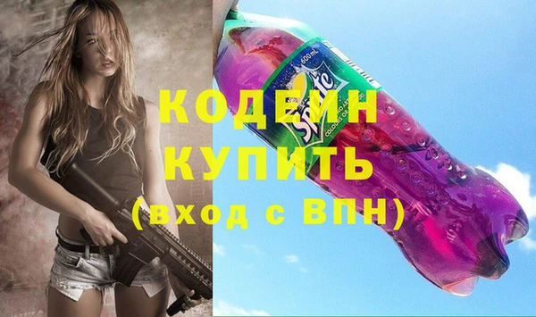 крисы Пенза