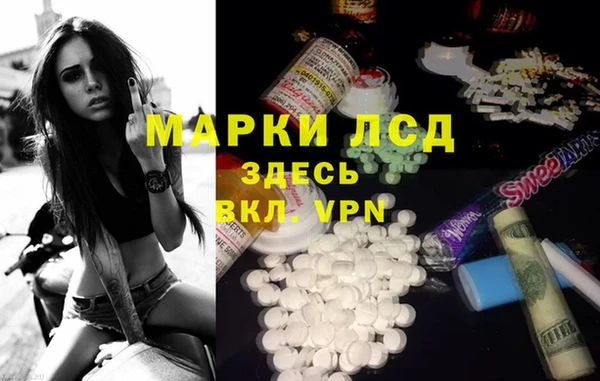 гидра Пересвет