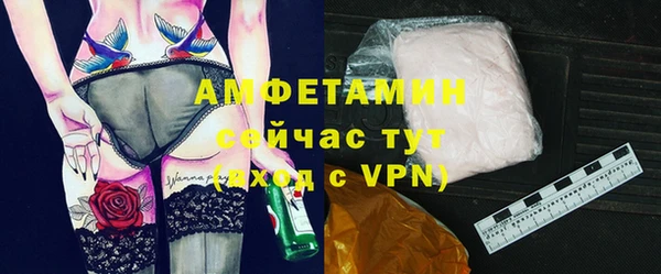 гидра Пересвет