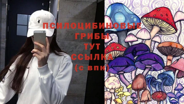 крисы Пенза