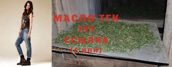 крисы Пенза