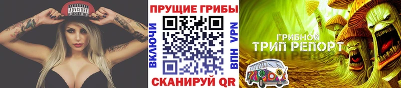 цена   Бронницы  Галлюциногенные грибы ЛСД 